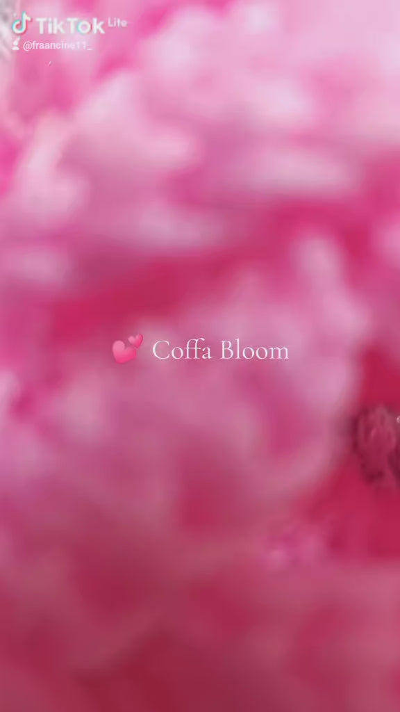 Borsa Coffa Bloom 💕